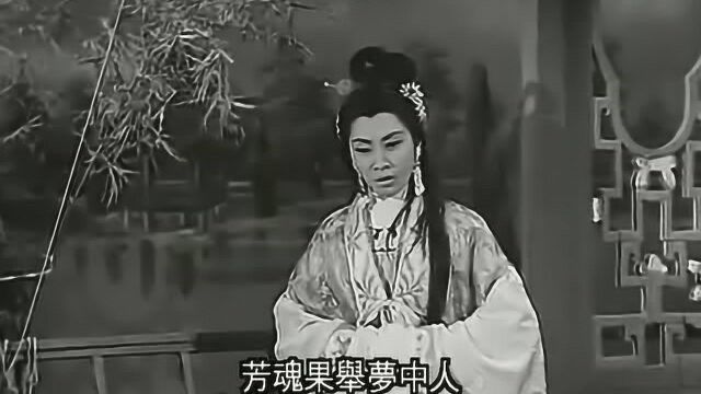 50.1960西施(拜倒石榴裙)任剑辉/白雪仙【任白所有唱段合集】