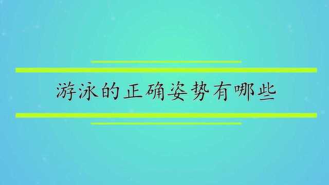 游泳的正确姿势有哪些