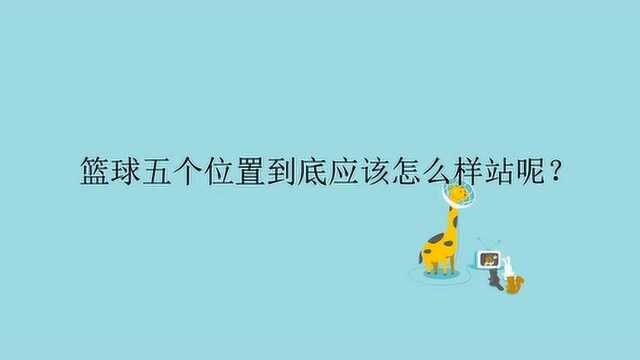 篮球五个位置到底应该怎么样站呢?