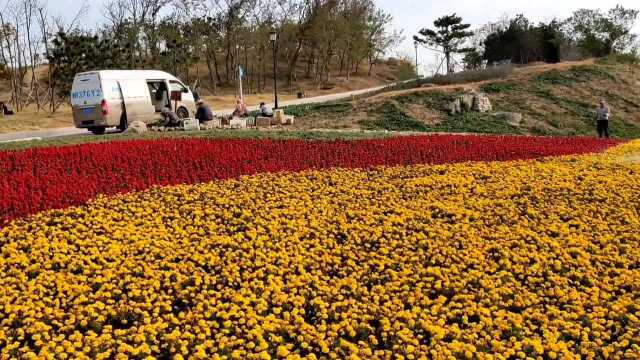 青岛小麦岛公园休闲好去处.