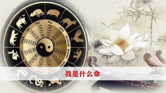 八字易理:我究竟是什么命?