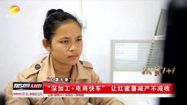 “红薯夫妻”:“深加工+电商快车” 让红蜜薯减产不减收