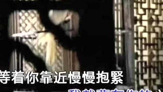 女人心 (KTV版) 陈瑞