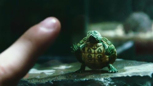 《变种时代》：实验室宠物龟基因突变，竟异变成了超级英雄