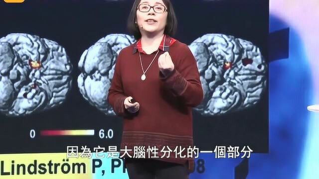 同性恋究竟是不是一种病?听专家怎么说,很多人都领会错了