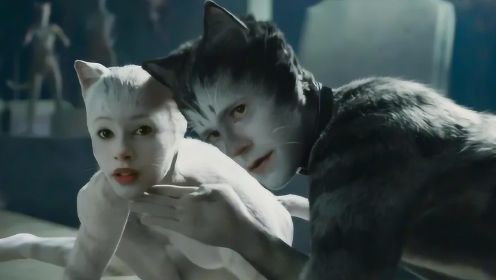 百老汇音乐剧改编电影《猫》，成本21亿，却与《星球大战》撞档期