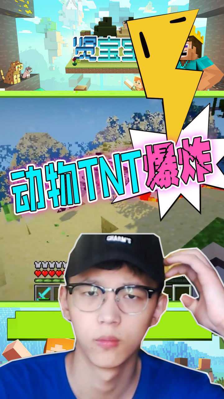 我的世界贤宝宝测试动物tnt的威力幸好没在家里用