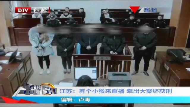 网络不是法外之地 男子养猴直播牵出大案终获刑