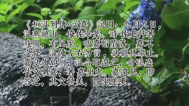 读孟嘉落帽典有感