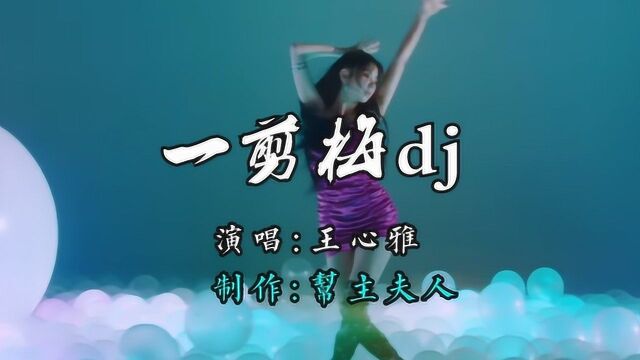 王心雅  一剪梅Dj