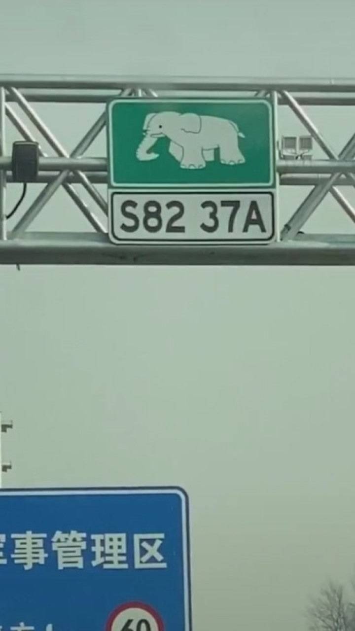 河南高速路标大象图片