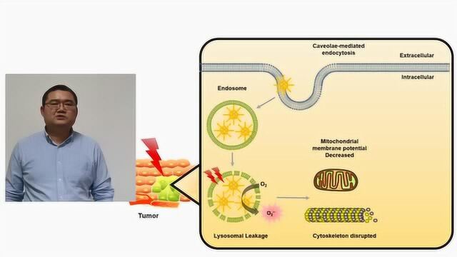 ACS Nano 新纳米发光材料有望用于肿瘤治疗