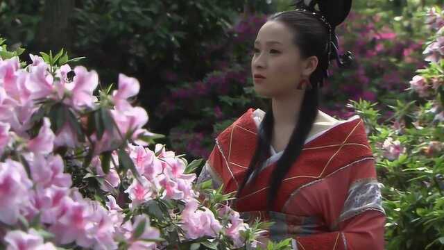 一代女神班婕妤,为何被称为历史上最完美的女人?