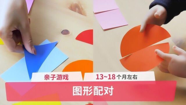 在家早教100招:图形配对