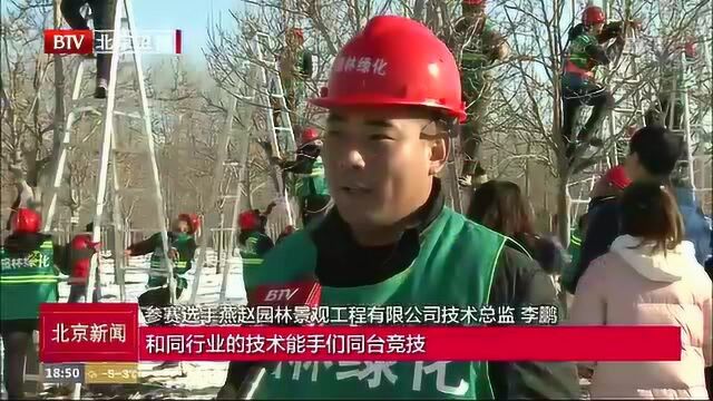 北京市园林绿化行业“金剪子”大赛启动