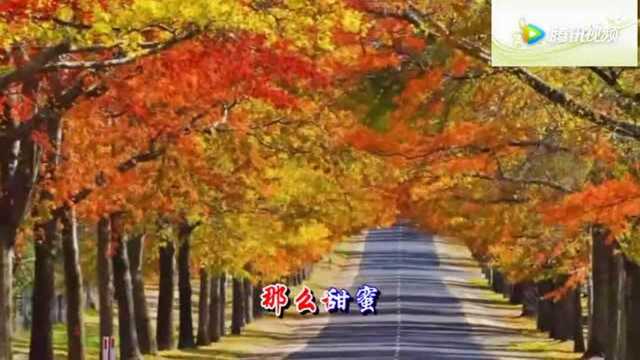 一曲《新网络情缘》百听不厌!送给所有朋友们!太好听了