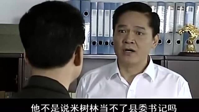 领导被威胁提拔背景户,越想越憋屈,决心不当官也要向上级举报