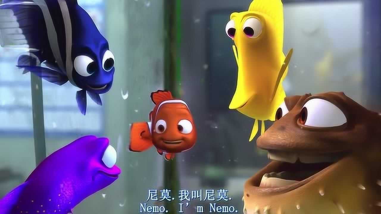海底总动员:鱼爸爸和蓝鱼阿姨在潜水镜里睡着了,这是怎么回事
