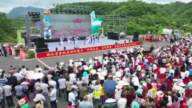 宜昌樟村坪羊角山高山民宿!