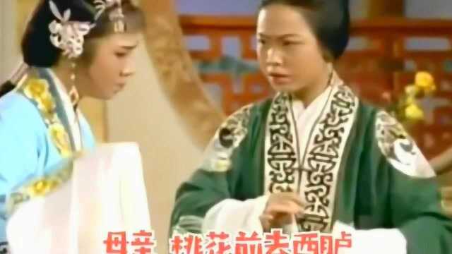 吴丽君 姚旋秋演唱潮剧《苏六娘ⷨŠ𓥿ƒ无主泪难干》精彩好看!