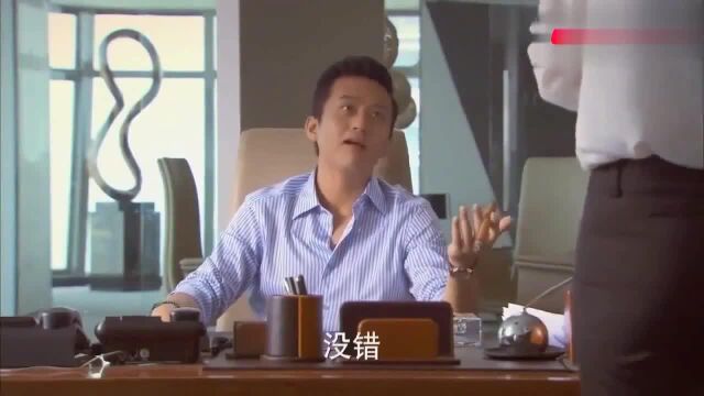 相爱十年:秘书以为没她不行,怎料老总不以为然,瞬间打脸了