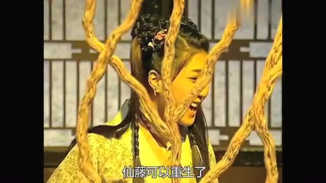 搜神传:好彩妹习得呼风唤雨让仙藤重生