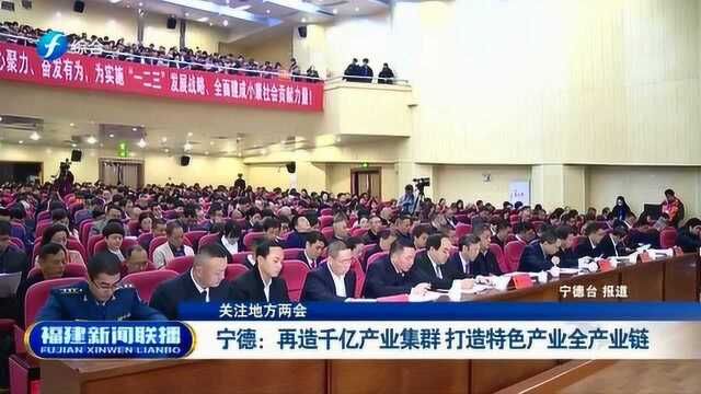 宁德:再造千亿产业集群 打造特色产业全产业链