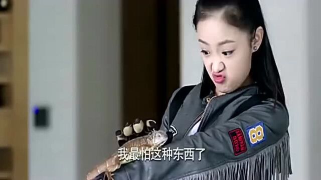 后妈发现女儿好多稀奇动物玩具,谁知一只竟是活的,半条命没了