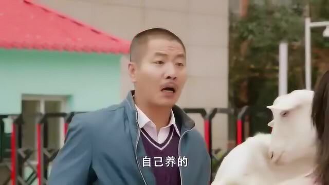 两男子卖羊奶,这种模式,我也是头一次见!