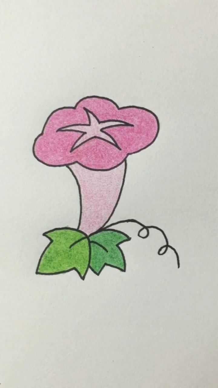 牵牛花简笔画简单易学一起来画画吧