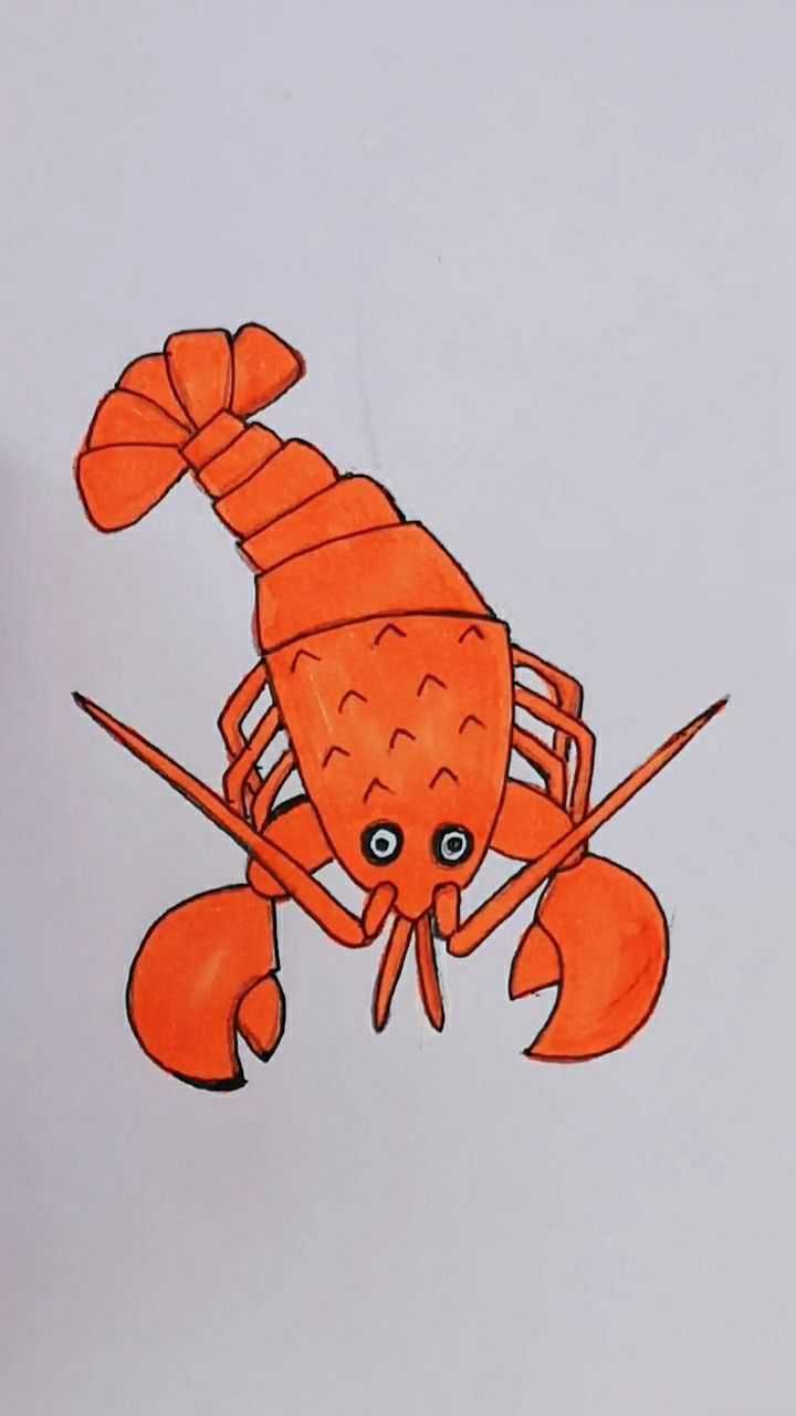 今天为大家画个小龙虾希望你们喜欢