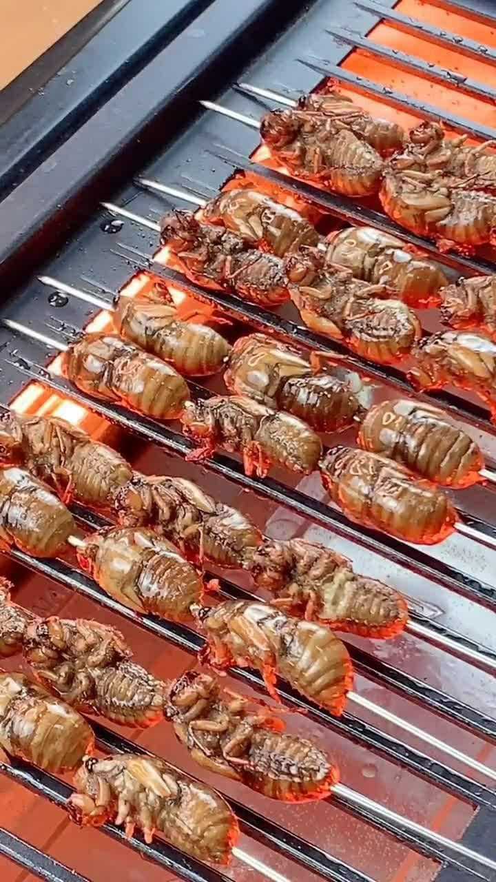 二爷的盘中餐二爷为什么喜欢吃烤金蝉因为香