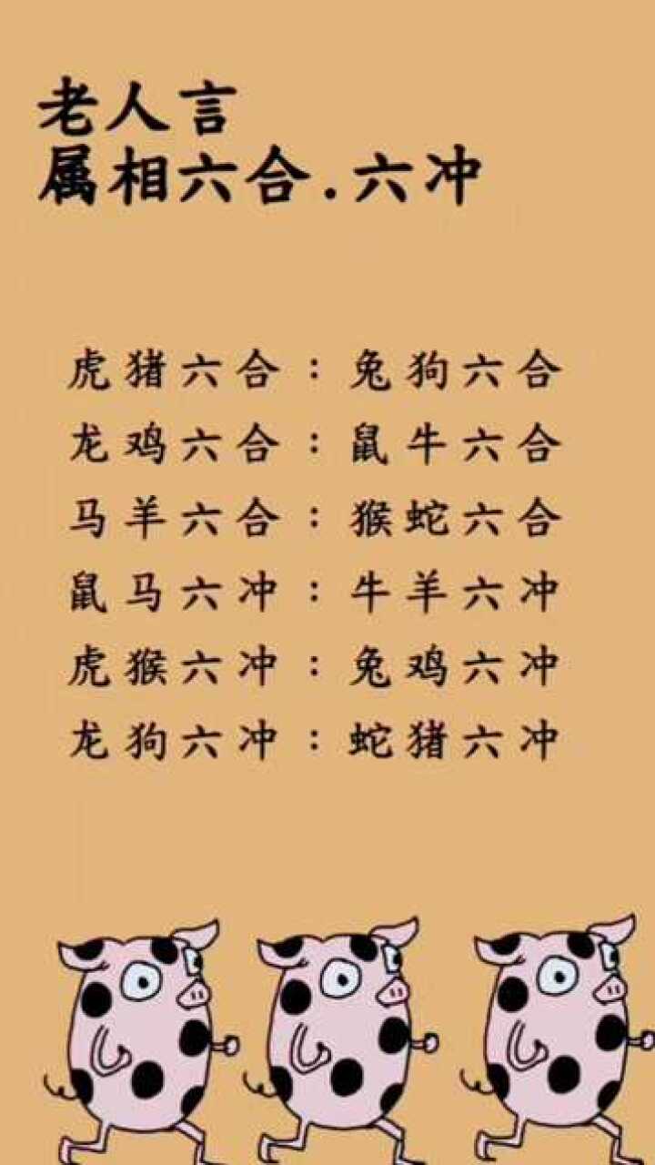 老人言属相六合六冲