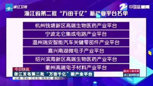 浙江省发布第二批“万亩千亿”新产业平台名单