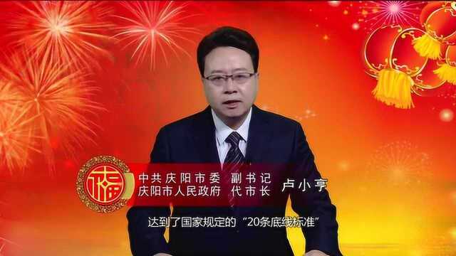 庆阳市委副书记、代市长卢小亨发表新春贺词