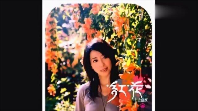 90年代国民女神孟庭苇的经典歌曲,百听不厌的感动