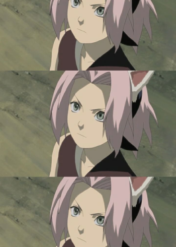 小樱戴上猫耳也太美了