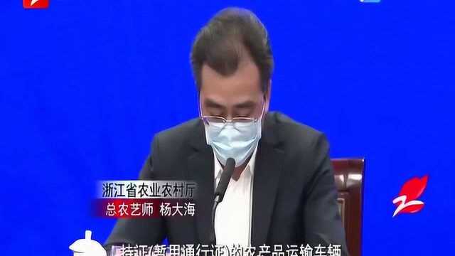 浙江:积极保障全省各地物资供应 为农产品运输开启绿色通道