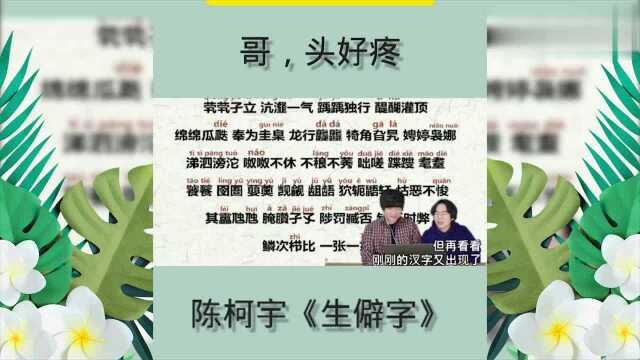 陈柯宇《生僻字》歌词就别指望看懂了,也就能听出个曲调很欢快