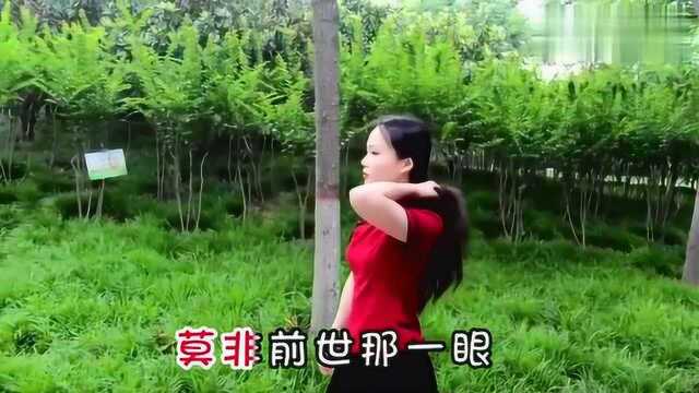 《新白娘子传奇》插曲《前世今生》歌词太美了,只为今生见一面!