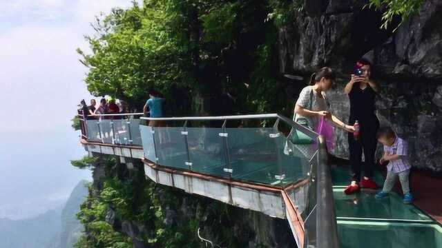 玻璃栈道突然发生“碎裂”,游客直接躺倒,镜头记录惊险一幕!