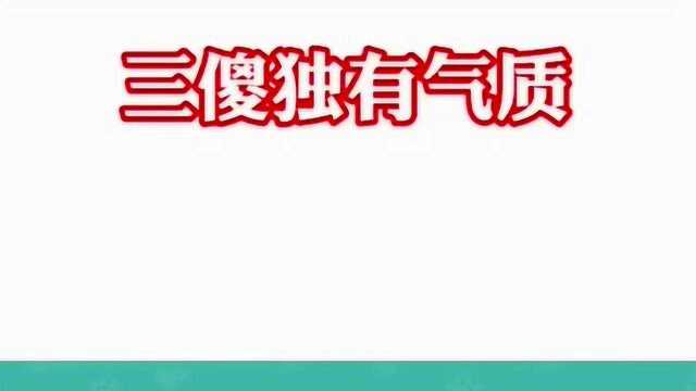 盘点三傻之中的颜值担当,萨摩耶,谁牵跟谁走,狗狗界的呆萌担当你喜欢吗?