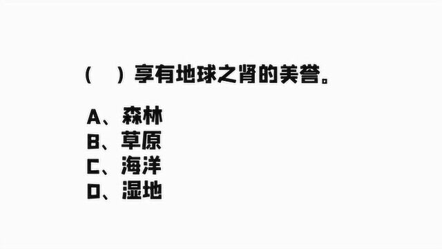 公务员考试:什么享有地球之肾的美誉?有点难度