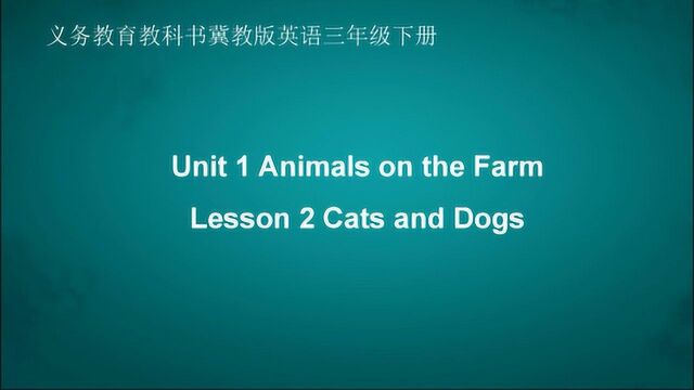 Lesson 2 Cats and Dogs 英语 三年级下册