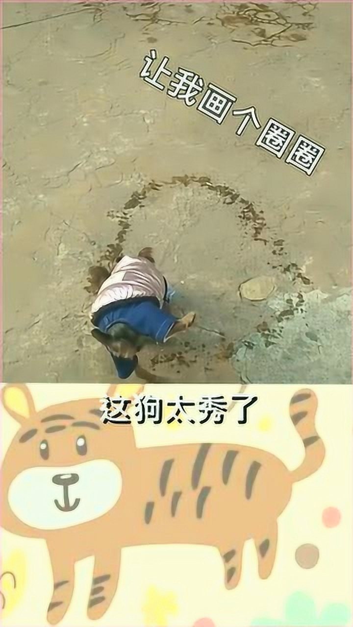 画个圈诅咒你这个小狗的操作也是没谁了