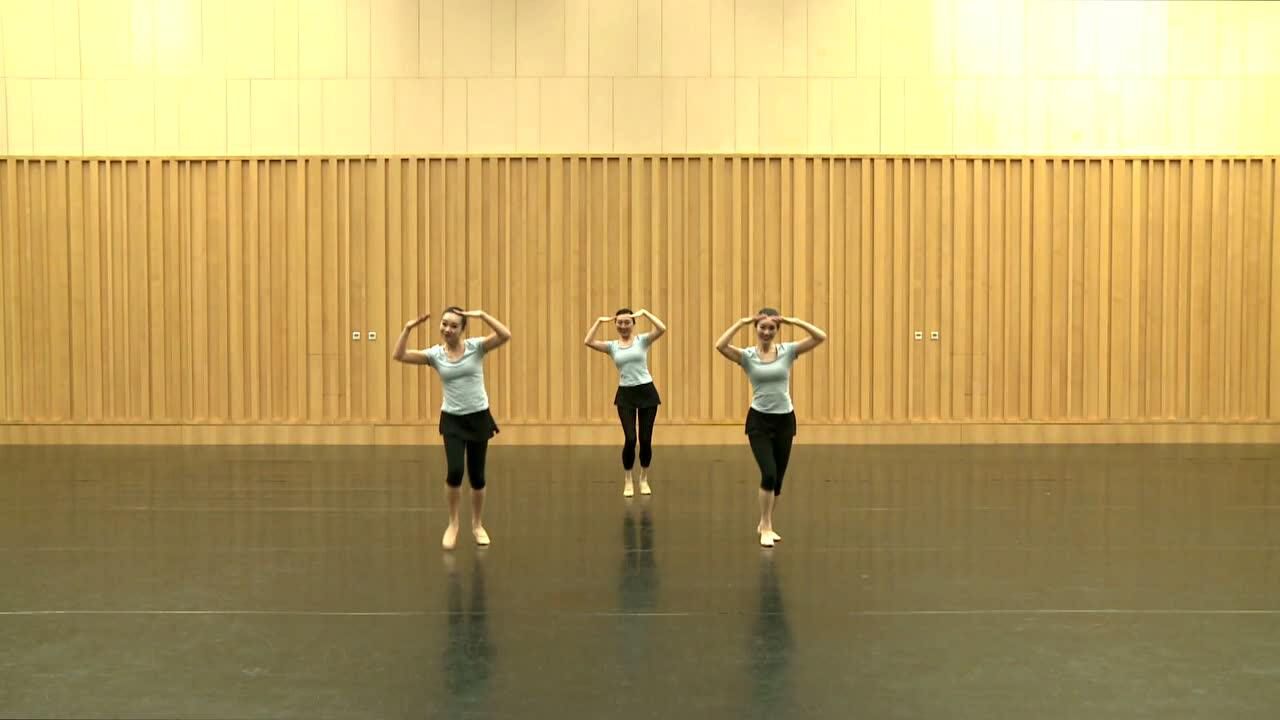 中国舞蹈家协会少儿舞蹈考级第九级01followme