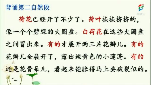 三年级语文(部编版)《荷花(第二课时)》黄丽娜[九江市双峰小学]