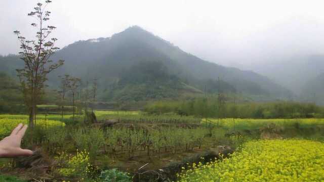 土星连城云南风水宝地,风水大师王君植带昆明风水培训曲靖看风水寻龙实拍