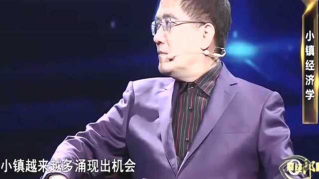 嘉宾力挺郎咸平,小城镇的机会不断涌现,返乡创业不再是理想!