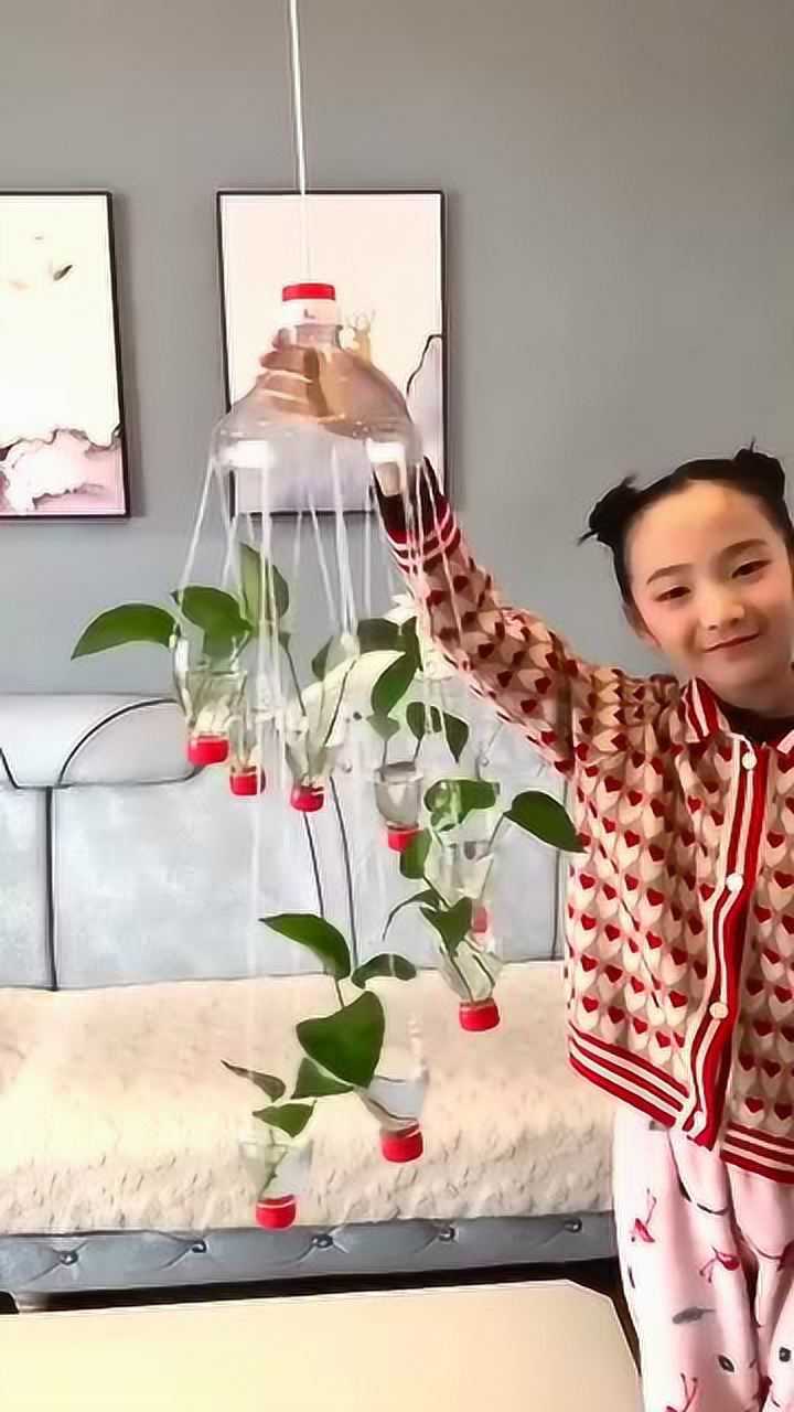 废瓶利用,制作风铃,养殖绿萝,美丽环保